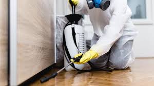 Real Estate Pest Inspections in Oxford, MS